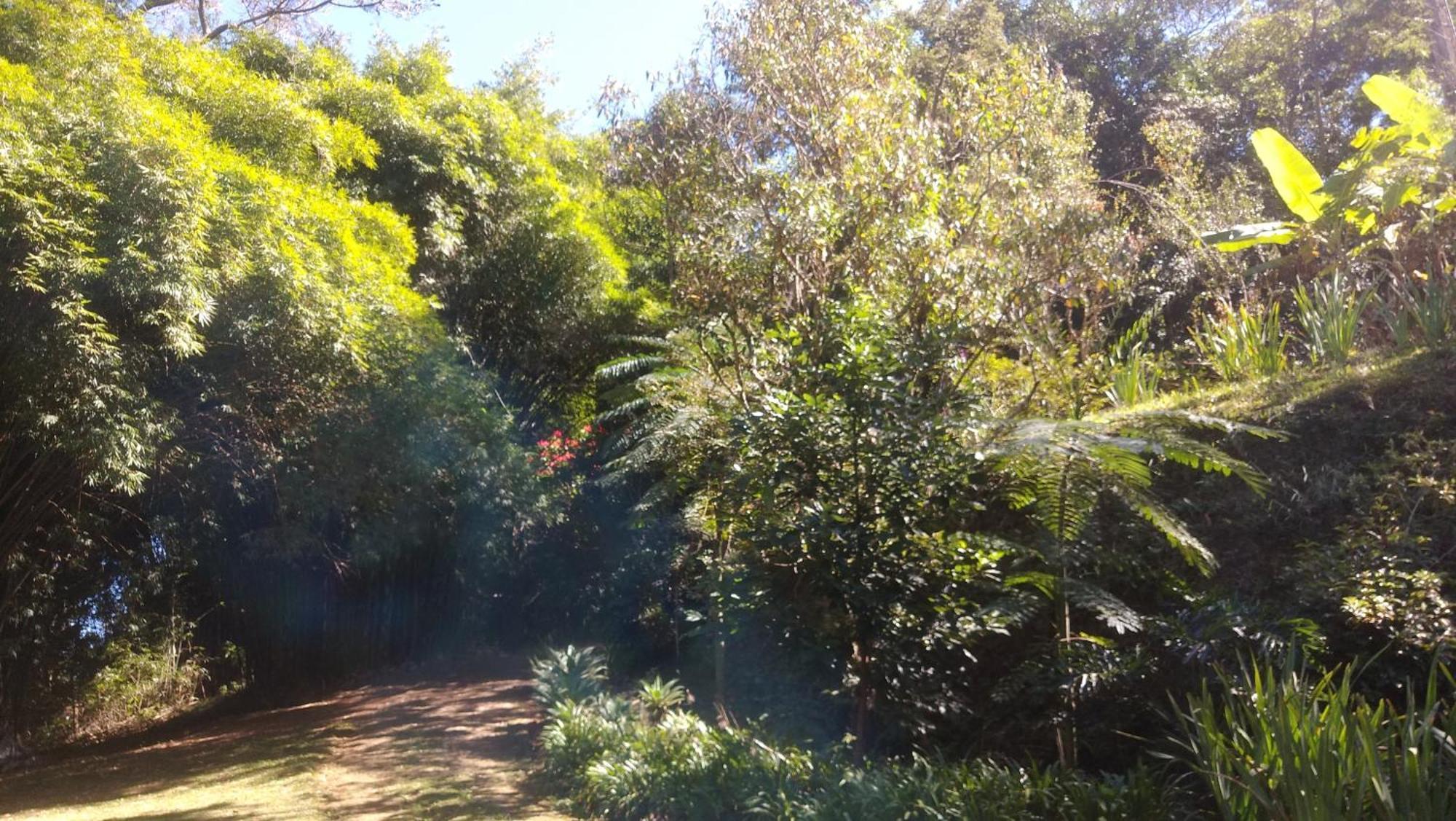 Chale Na Floresta Com Frigobar