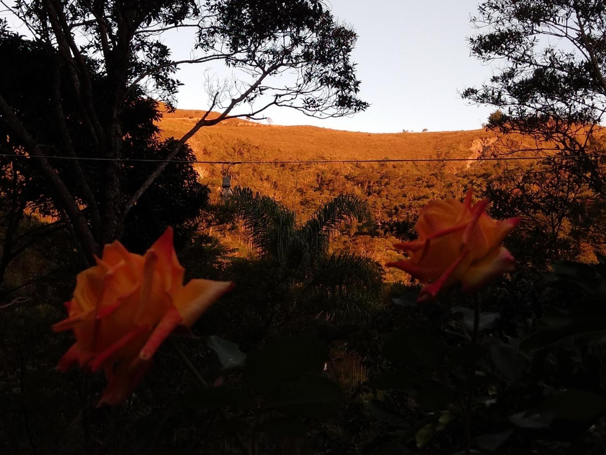 Lodge Chale Na Floresta Com Frigobar Ouro Preto (Minas Gerais)