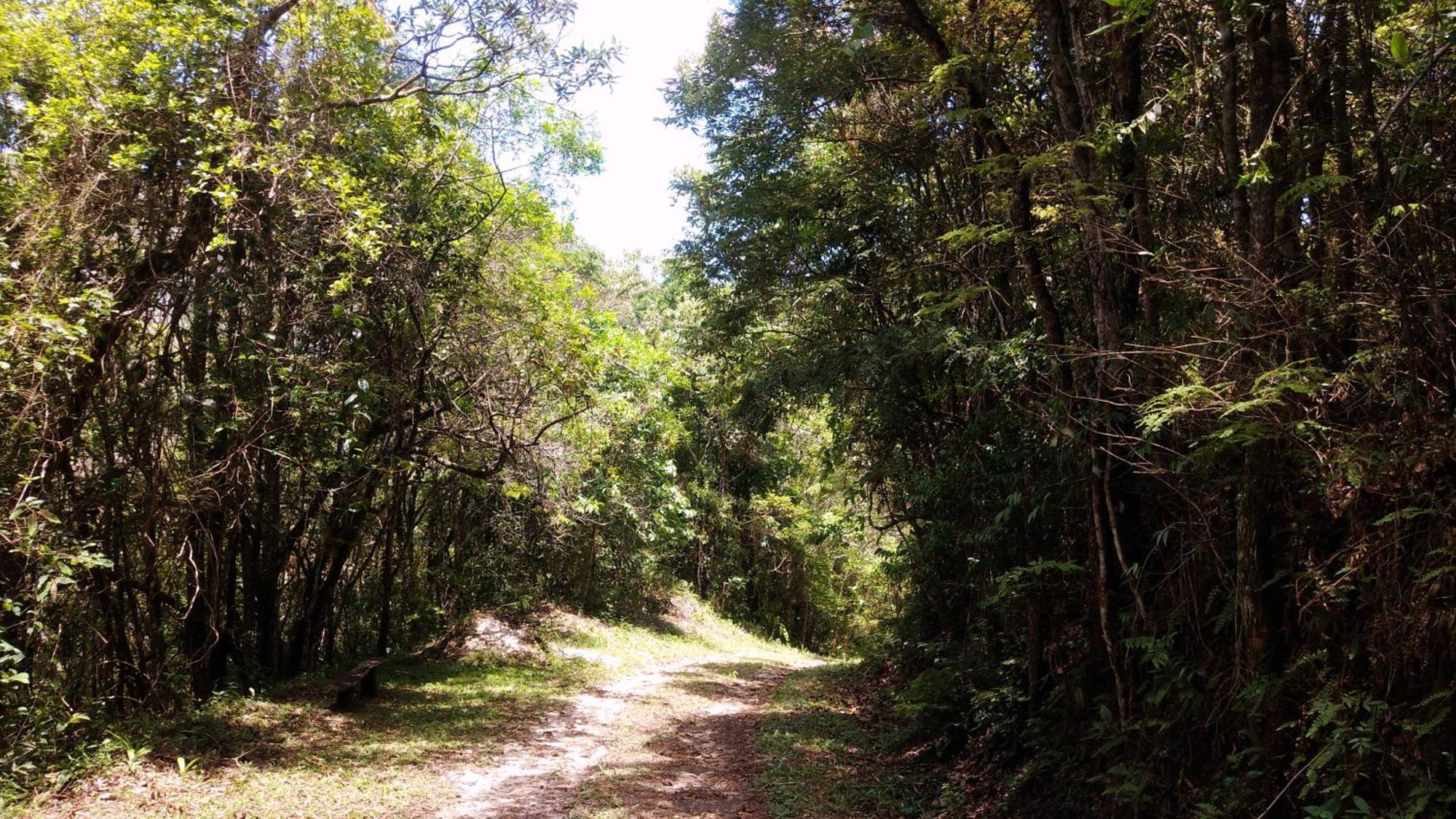 Chale Na Floresta Com Frigobar Lodge