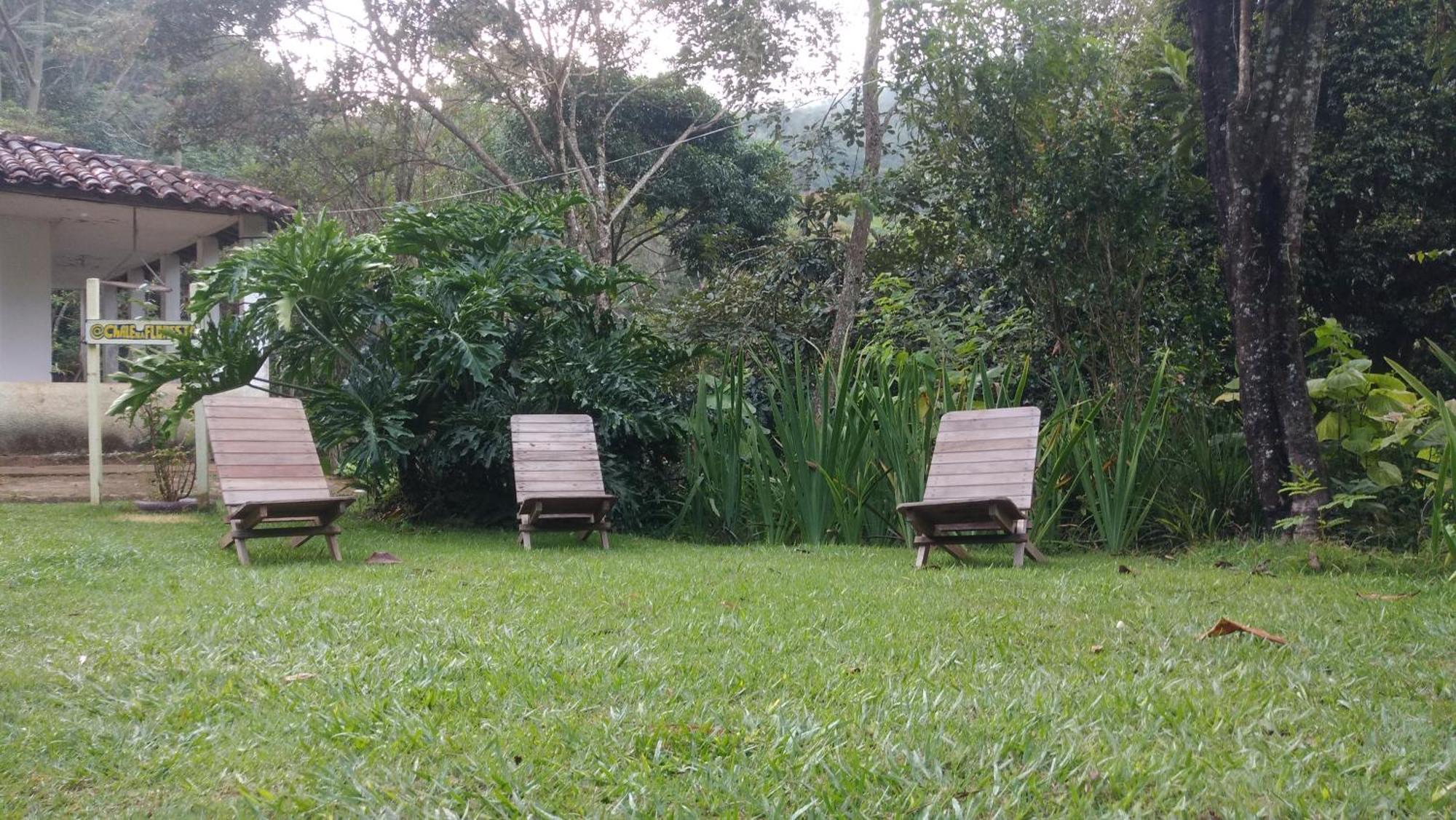 Chale Na Floresta Com Frigobar *