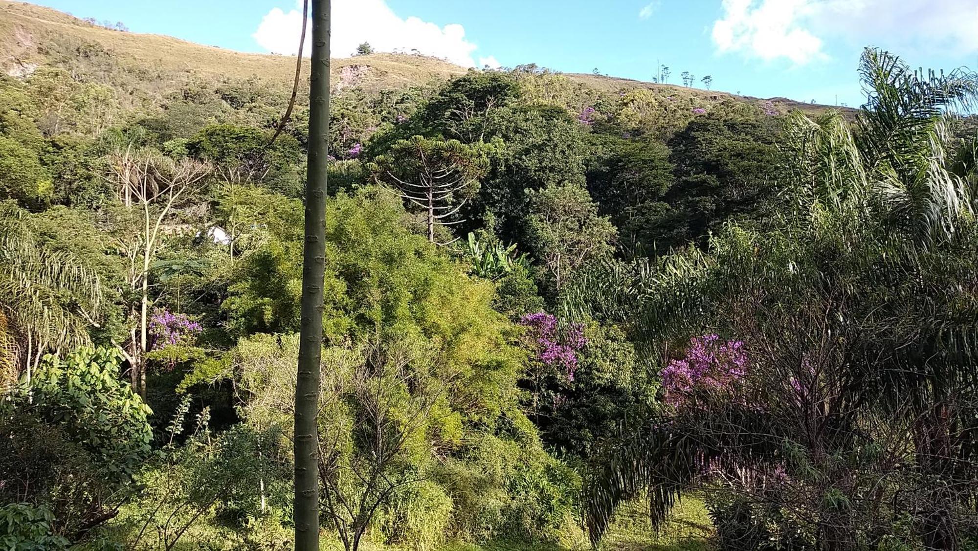 Chale Na Floresta Com Frigobar * Ouro Preto (Minas Gerais)