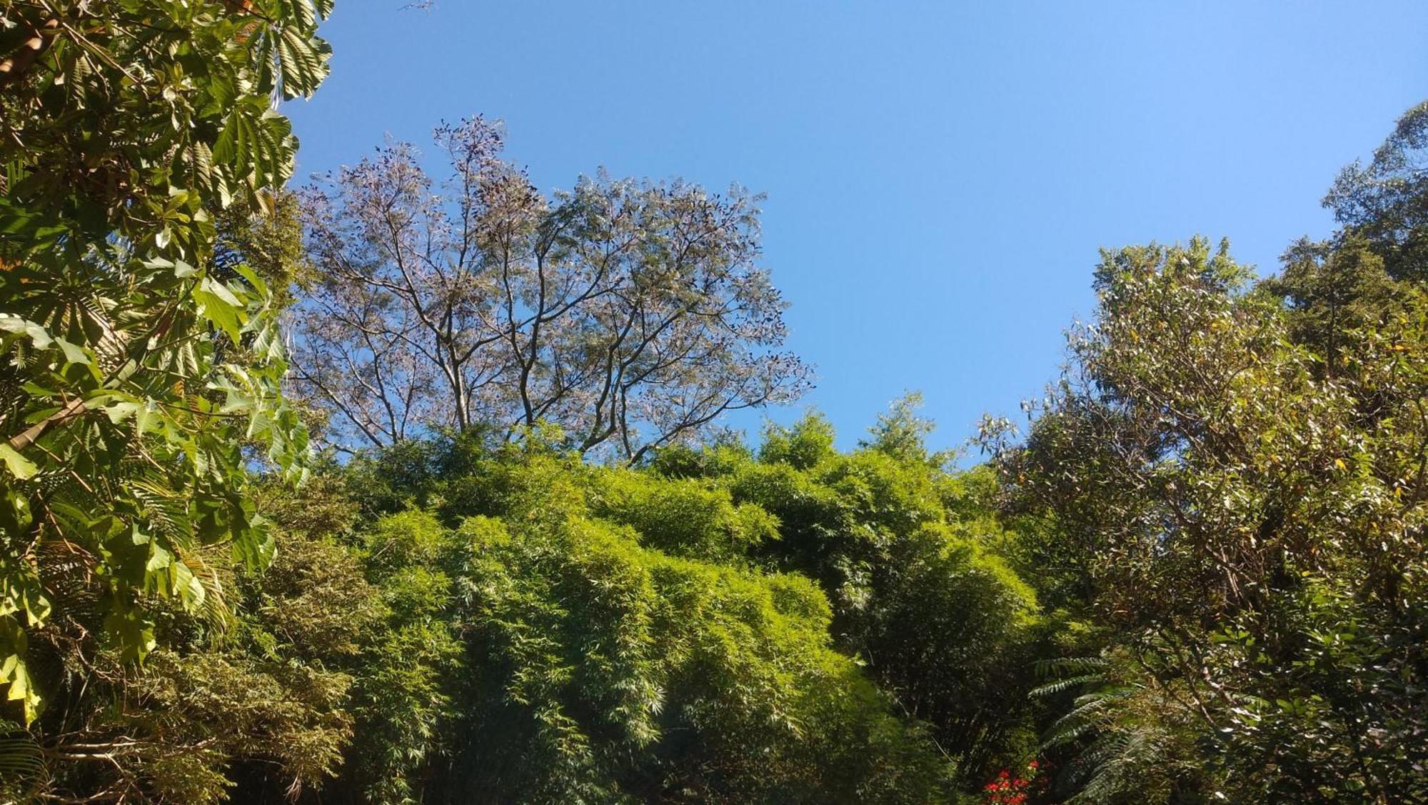 Lodge Chale Na Floresta Com Frigobar