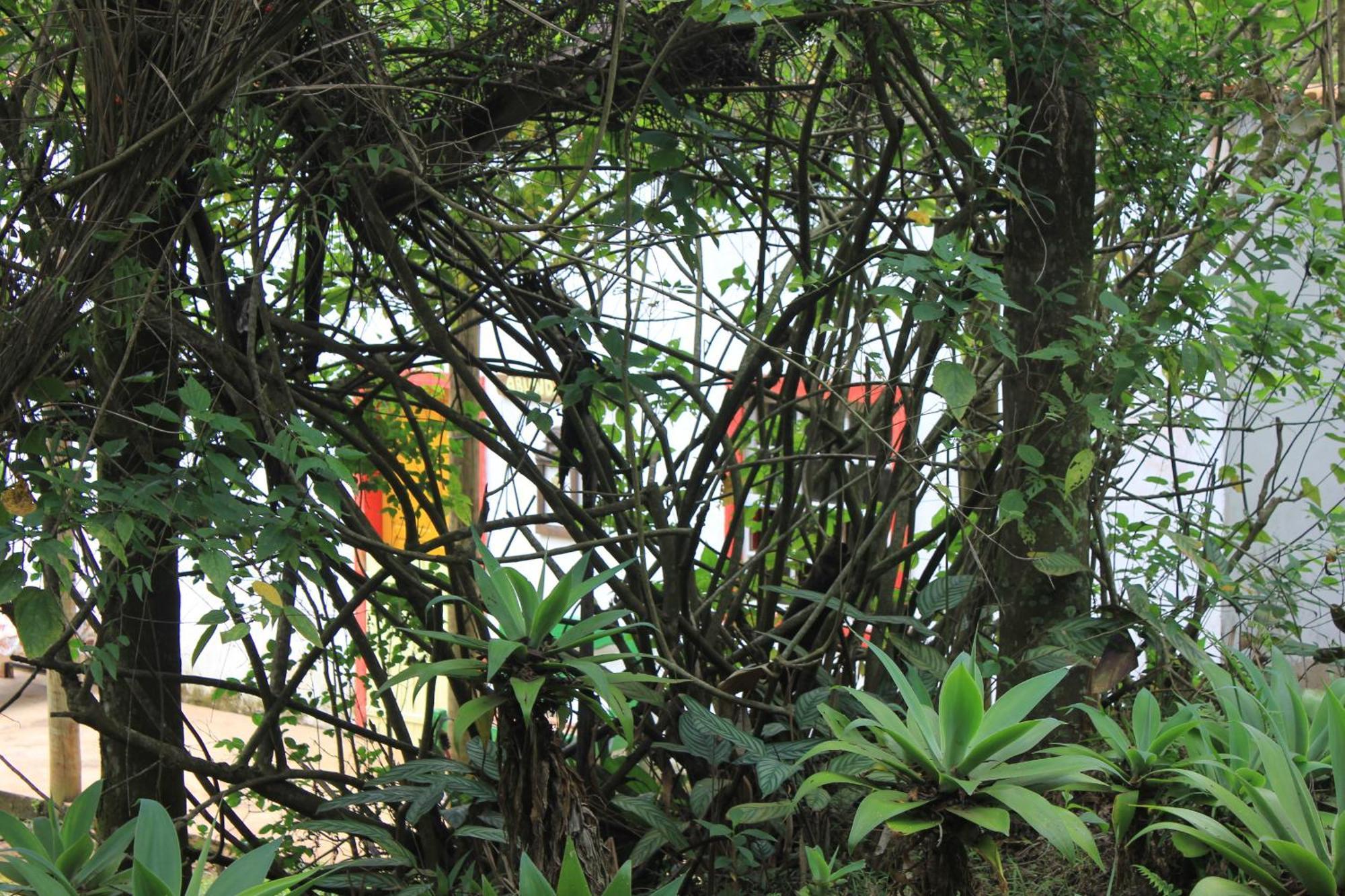 Lodge Chale Na Floresta Com Frigobar